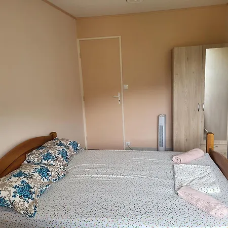 Private Room-1 In Hannana Apartment- 2 Min Walk To Tram 12 Min To Train Station 15 Min To Massena Place *